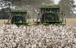 at its height how much cotton did the south produce