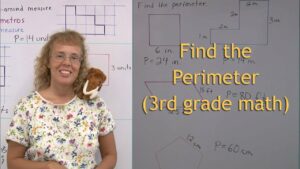 in mathematics what is the difference between a perimeter and a parameter