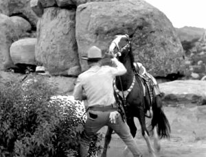 what was the name of gene autrys horse