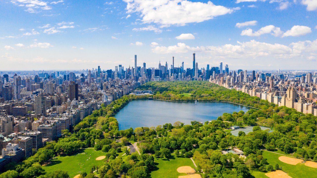 when did central park in new york first open to the public