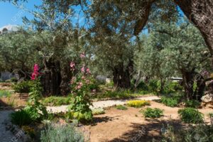 where was gethsemane mentioned in the bible
