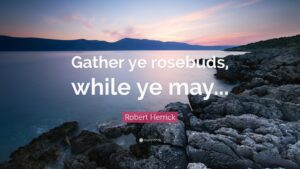 who said gather ye rosebuds while ye may