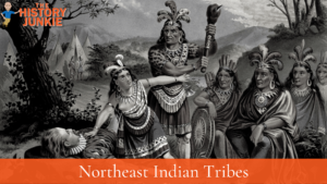 who were the indians of the french and indian war